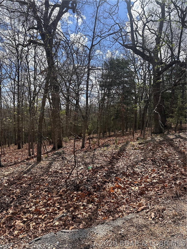Camelot Estates - Land