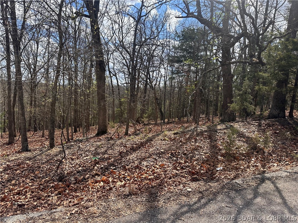 Camelot Estates - Land
