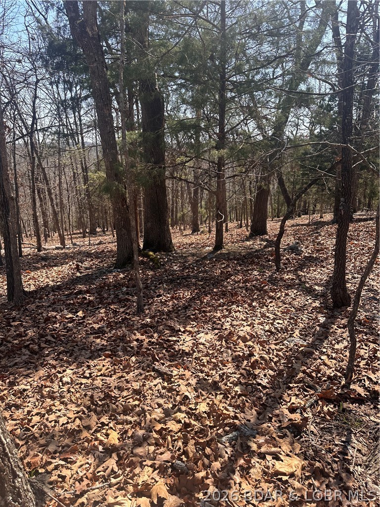 Camelot Estates - Land