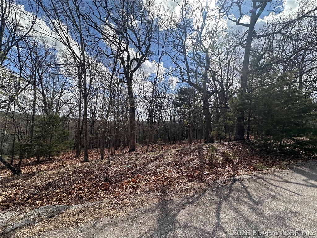 Camelot Estates - Land