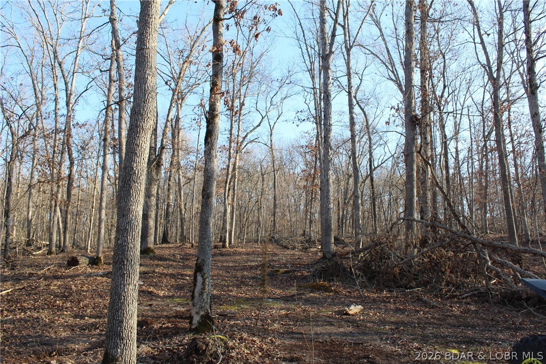Mallard Bay II - Residential
