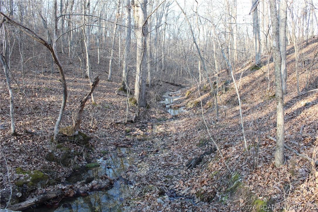 Mallard Bay II - Residential