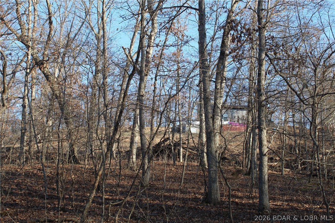 Mallard Bay II - Residential