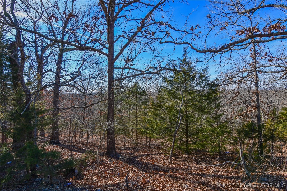 Camelot Estates - Land