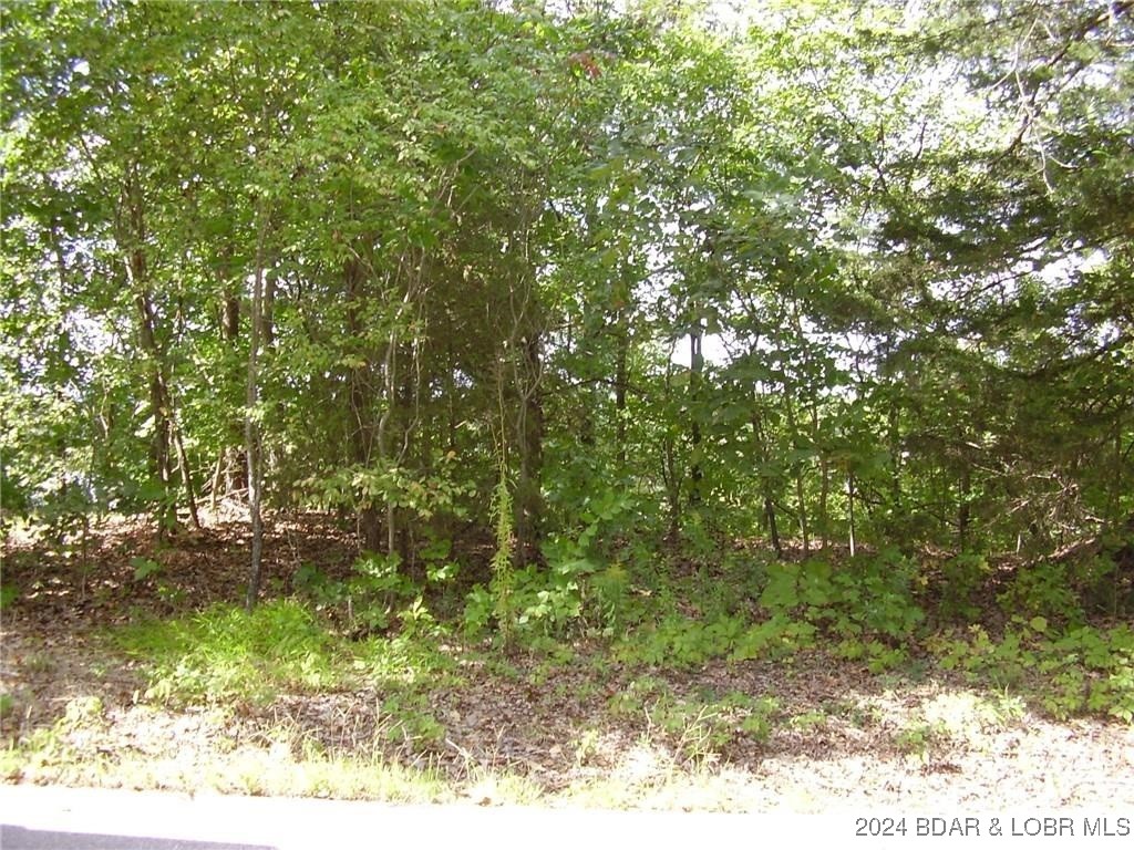 Grand Point No. 2 - Land