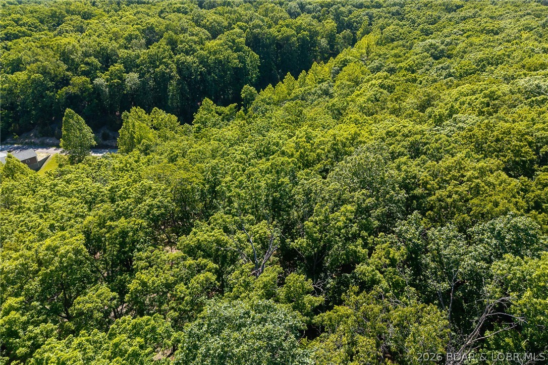 Ledge Stone Estates - Land