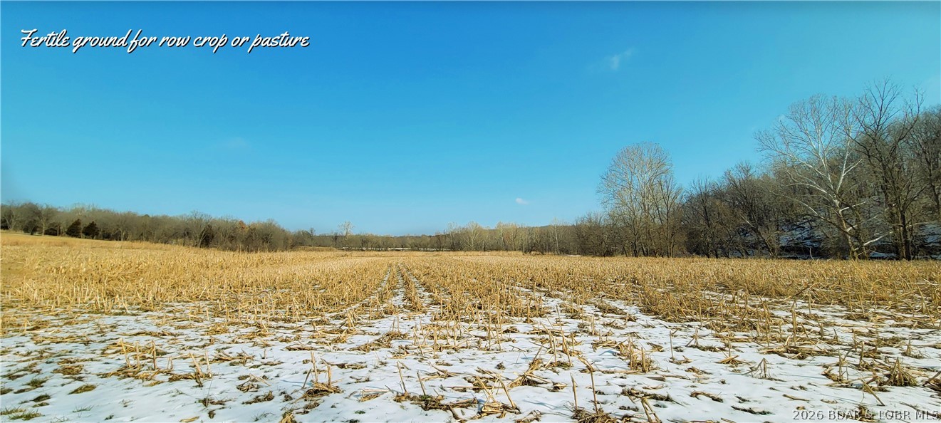 Out of Area - Residential