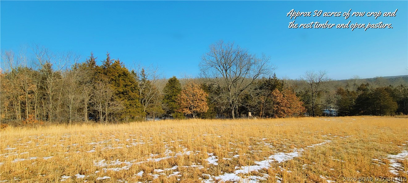 Out of Area - Residential