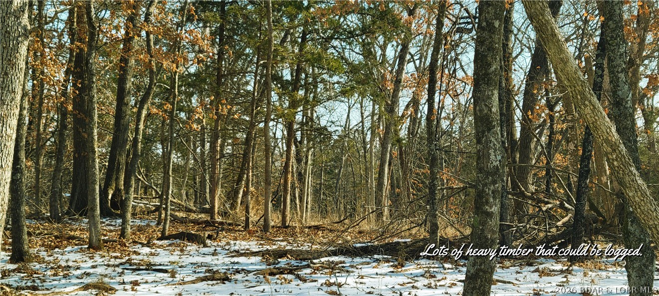 Out of Area - Residential