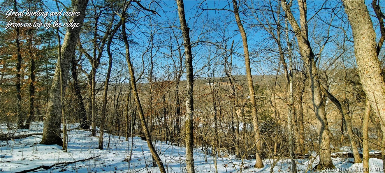 Out of Area - Residential