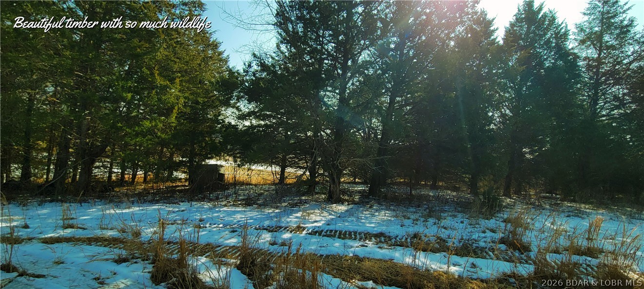 Out of Area - Residential