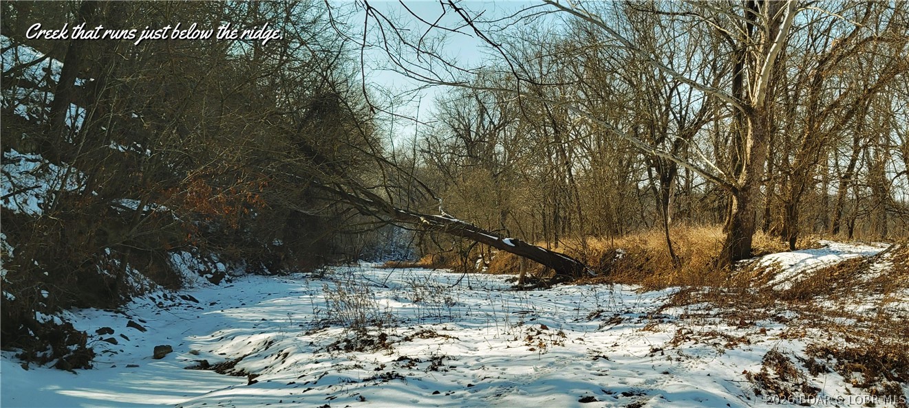 Out of Area - Residential