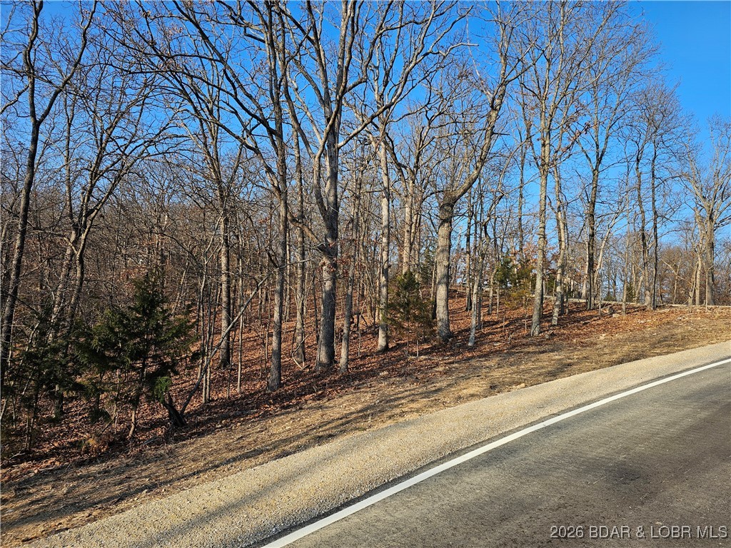 Cornett Cove No. 2 - Land