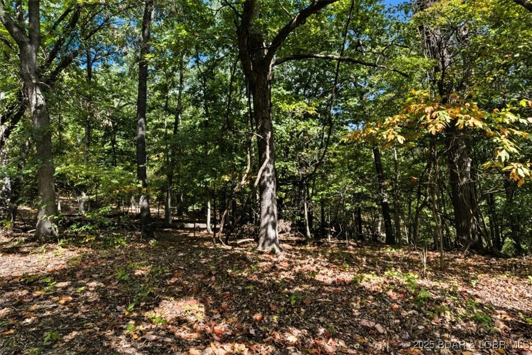 Sunrise Harbor - Land