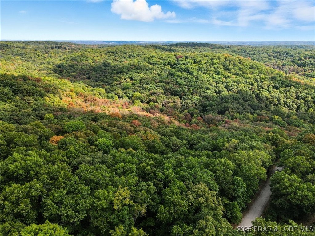 Sunrise Harbor - Land