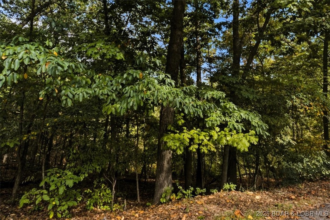 Sunrise Harbor - Land