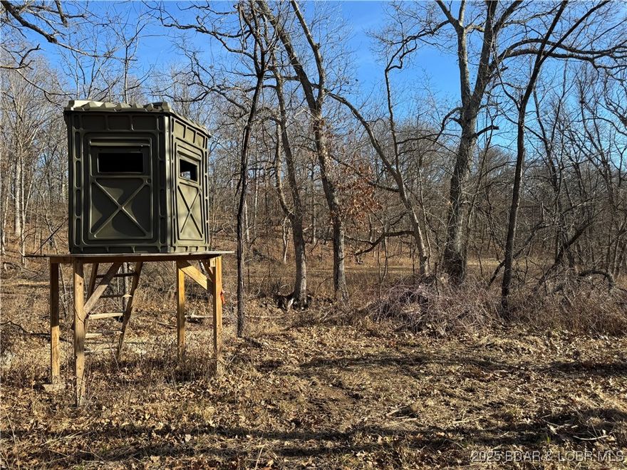 The perfect 82 acres and cabin with the perfect layout for the hunters, trail riders, and outdoor enthusiasts! Tucked back off the road, this property features a 1 bedroom, 1 bath cabin that has been updated but still has its charm and character with the yard around it being level and open for a great space to park and install RV hookups, a old garden / food plot area and a conex shipping container. This place is easy to tour with tons of amazing trails covering it! With gradual and gentle incline and a huge, wide bottom field, it's a hunter's dream farm. Cleared out shooting lanes and food plots all over with a spring fed pond and tons of creek beds that will be flowing with some rain. A great mix of mature timber and open fields! Escape the noise and relax. Low taxes, pavement to the easement drive, well/septic/electric, NO hoa.