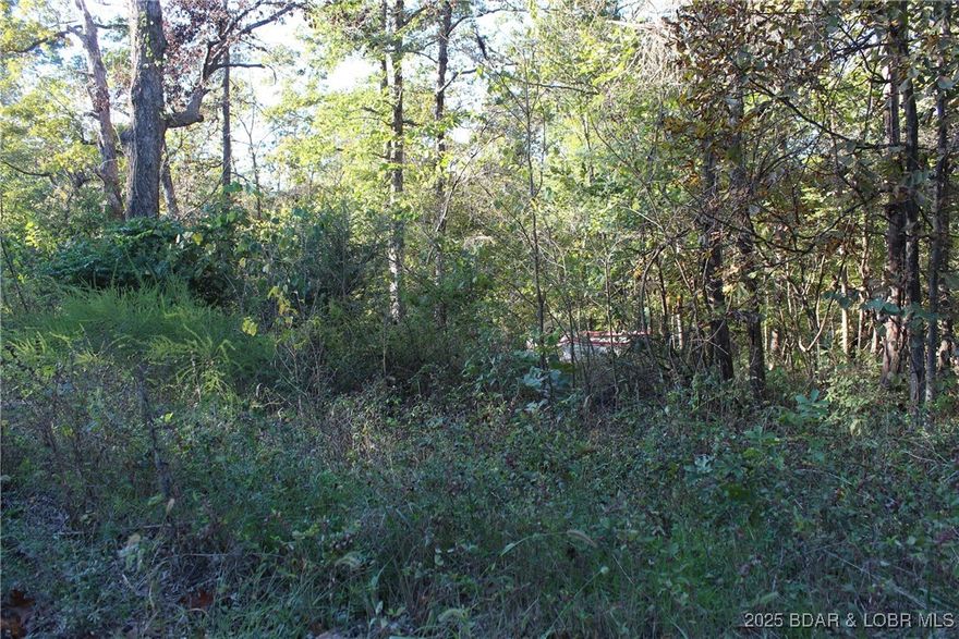 Build your dream home on this beautiful piece of property, plenty of tree coverage and a lot of options for building. Has power accessible across the street.  Has a corner convenient store location for your last-minute shopping essentials.