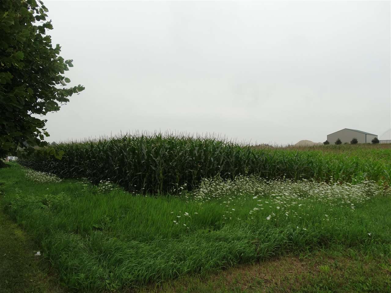 Photo 1 of 1 — Parcel ID#1031351006, Waukon, IA 52172