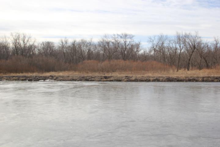 Readlyn, Iowa 50668, United States, ,Residential,Active,85999