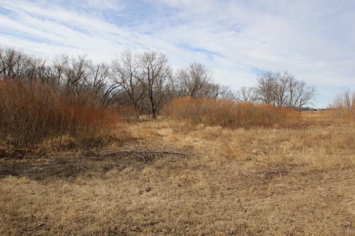 Readlyn, Iowa 50668, United States, ,Residential,Active,85999