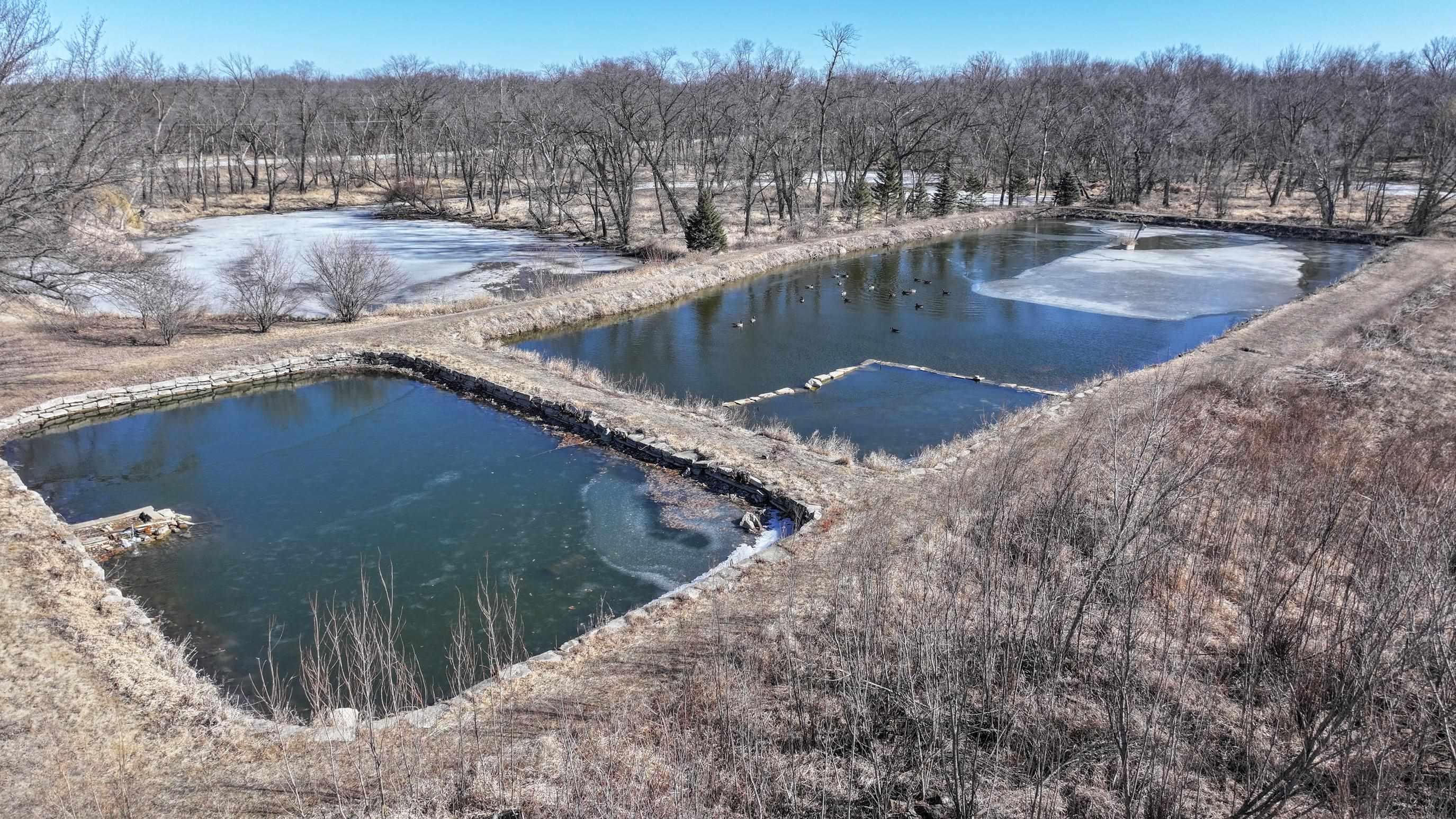 Readlyn, Iowa 50668, United States, ,Residential,Active,85999