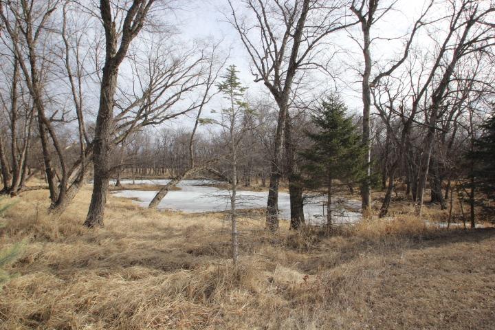 Readlyn, Iowa 50668, United States, ,Residential,Active,85999