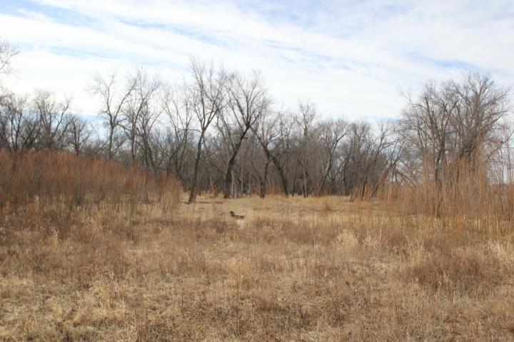 Readlyn, Iowa 50668, United States, ,Residential,Active,85999