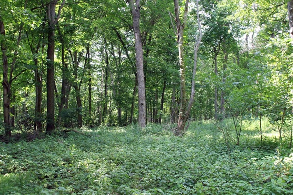 COUNTRY HILLS LN, DENVER, IA 50622 - Image ad8a9ab4ff19833fc8cb032d5d767584/2941124889