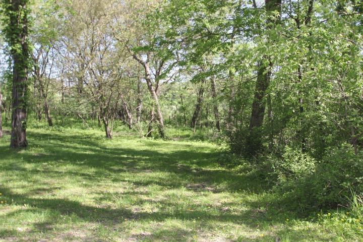 New Hartford, Iowa 50660, United States, 4 Bedrooms Bedrooms, ,2 BathroomsBathrooms,Residential,Active,130174