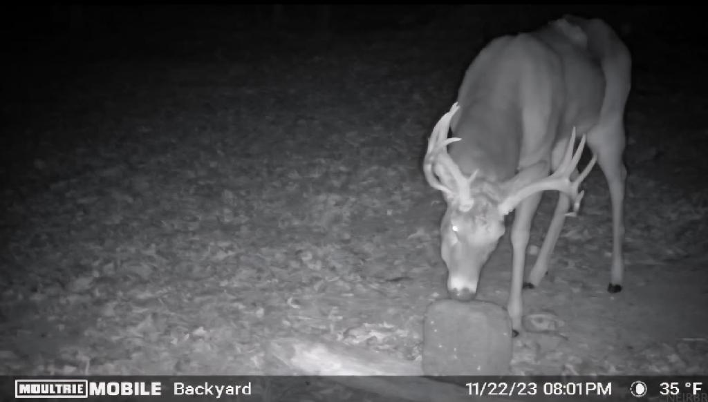 New Hartford, Iowa 50660, United States, 4 Bedrooms Bedrooms, ,2 BathroomsBathrooms,Residential,Active,130174