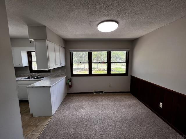 Cedar Falls, Iowa 50613, United States, ,Residential,Active,196114