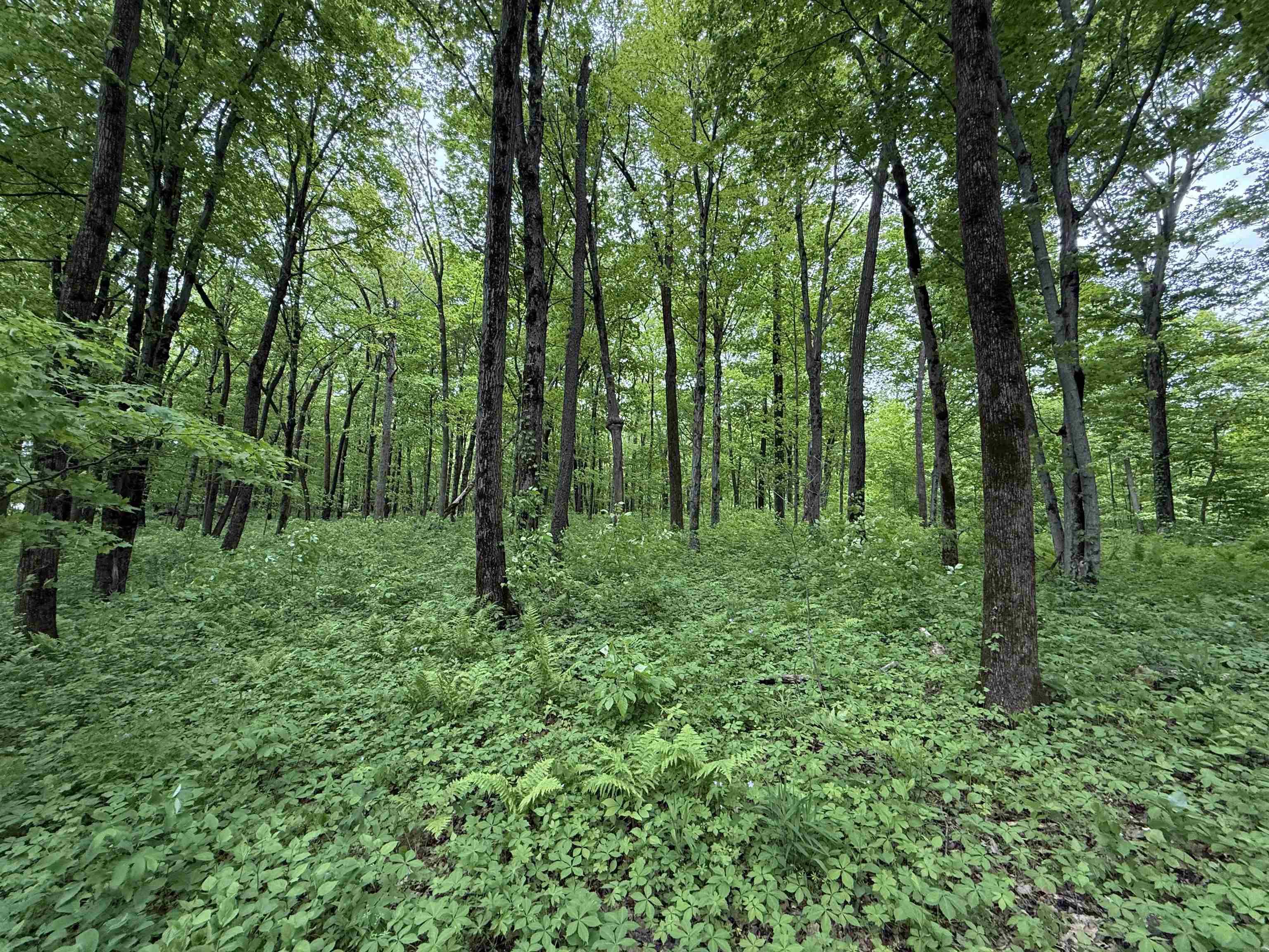 xxx Greenbrier Road - Photo 3