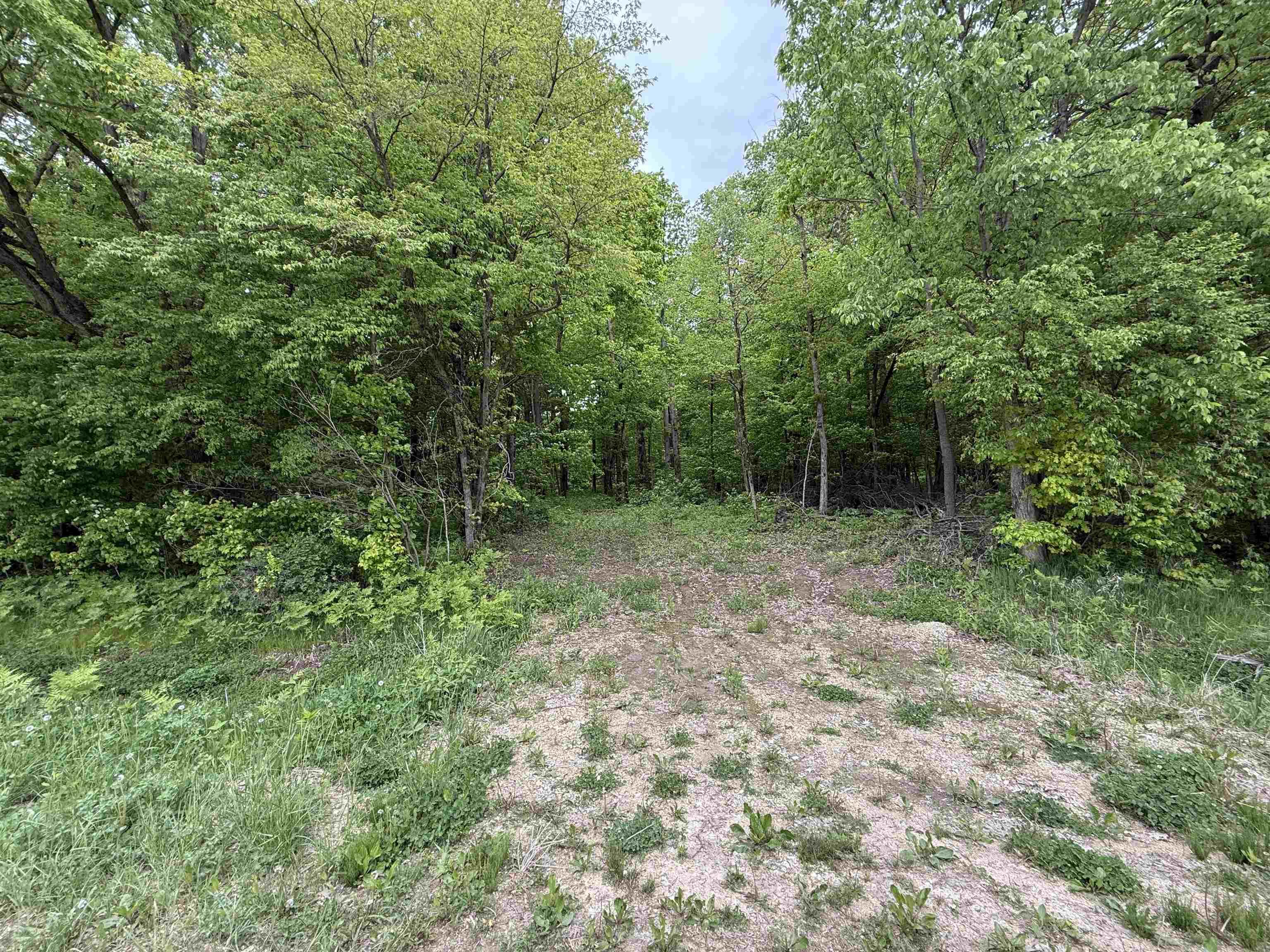 xxx Greenbrier Road - Photo 2