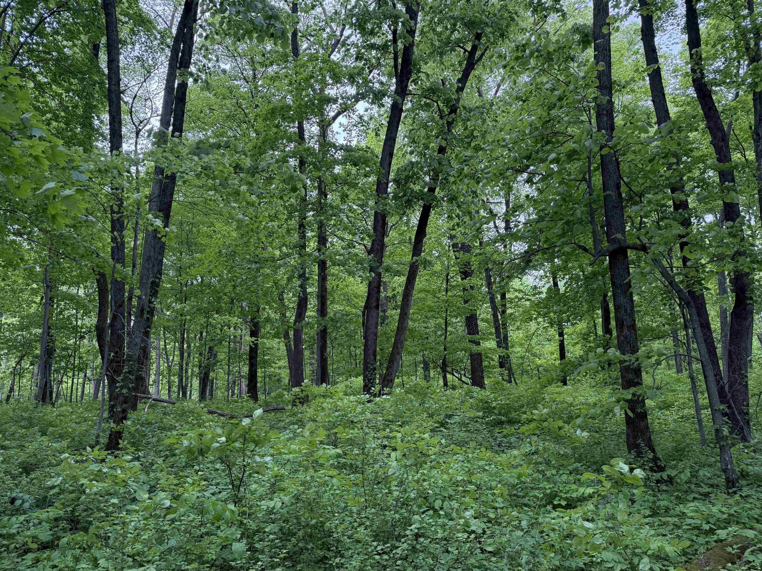 xxx Greenbrier Road - Photo 4