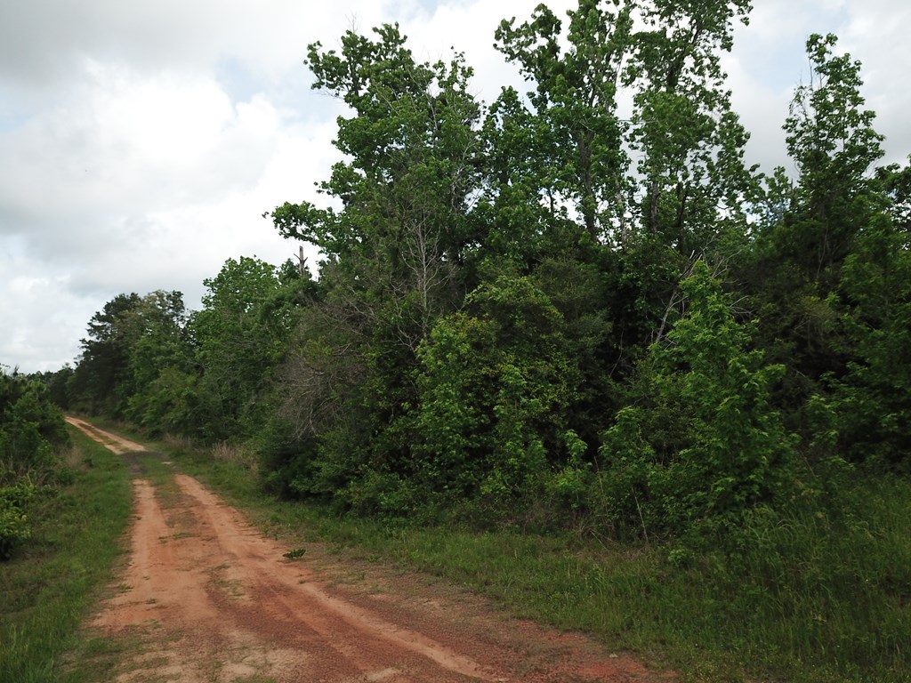 000 County Road 2041