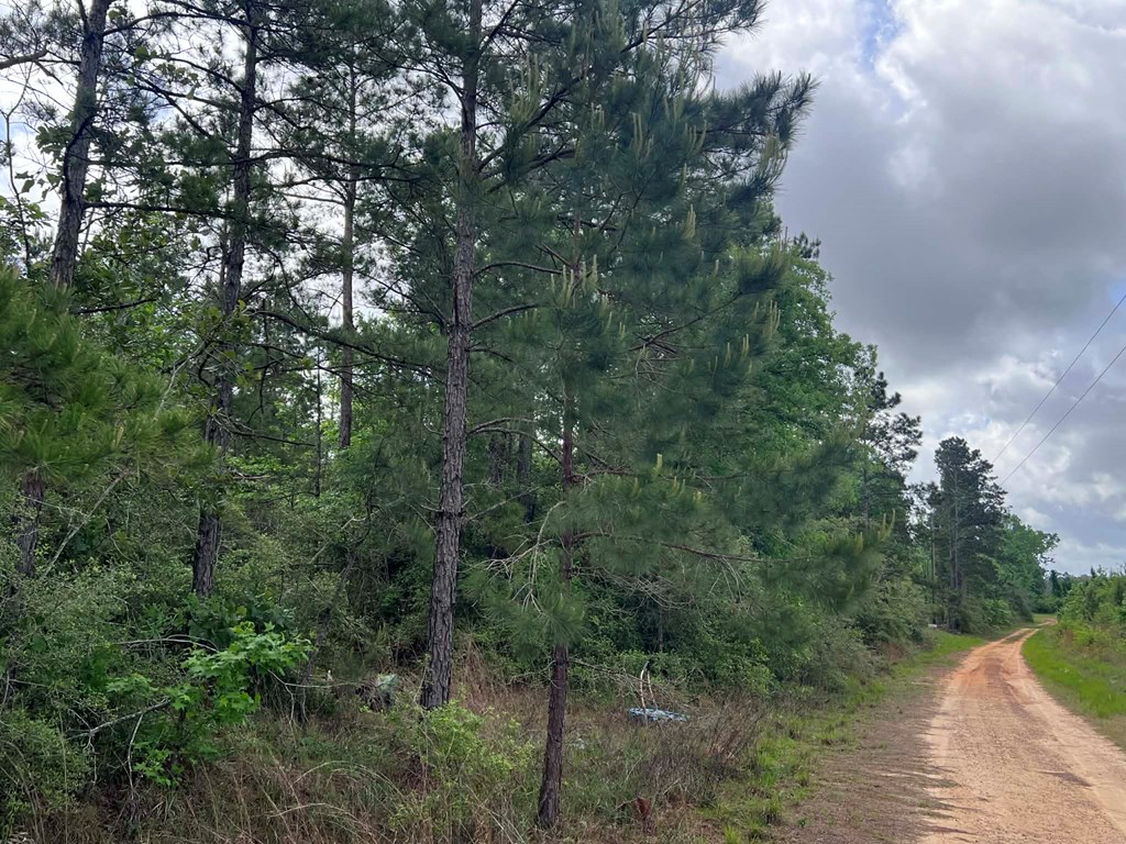 000 County Road 2041