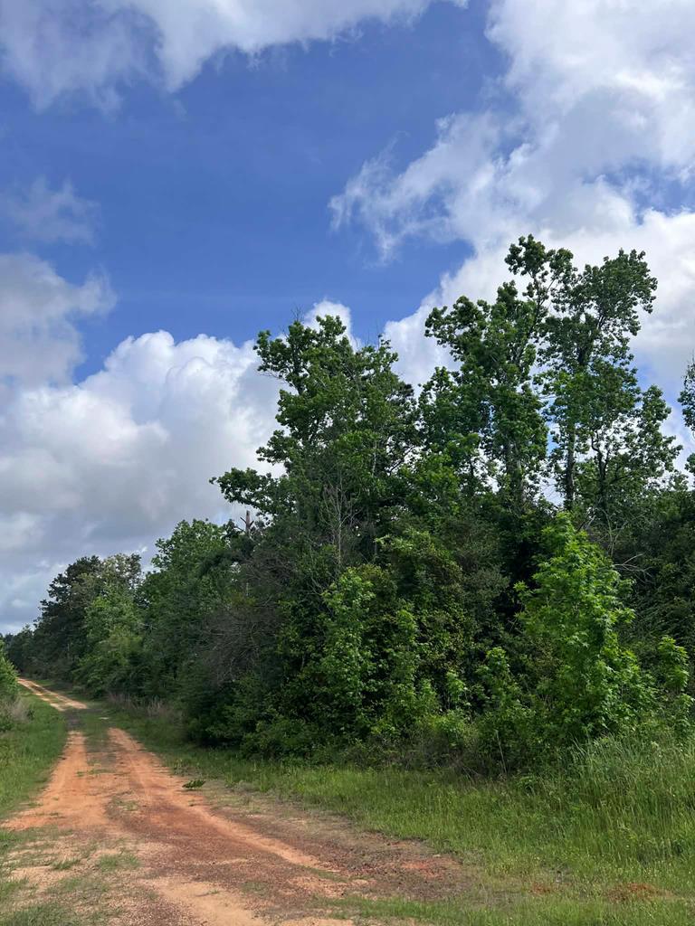 000 County Road 2041