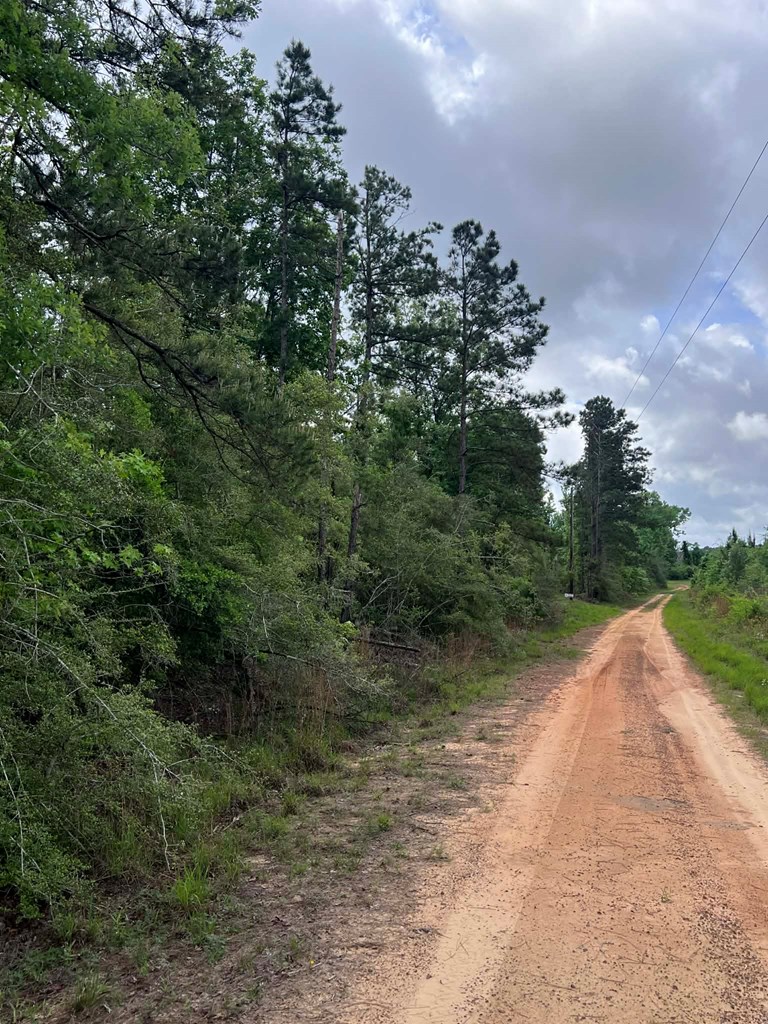 000 County Road 2041