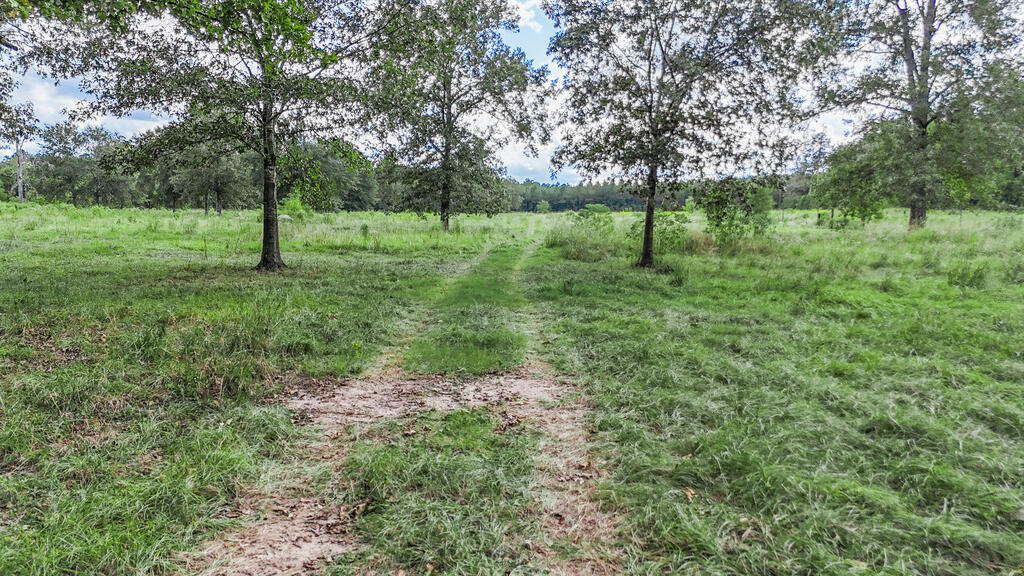 PID 14283 Casey Road