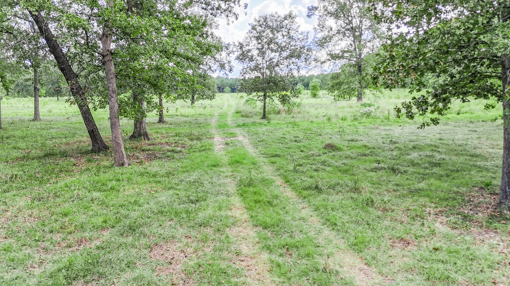 PID 14283 Casey Road