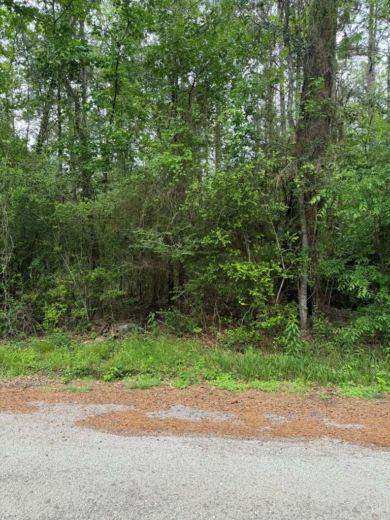 Lot 5 Old Gobblers Knob Rd