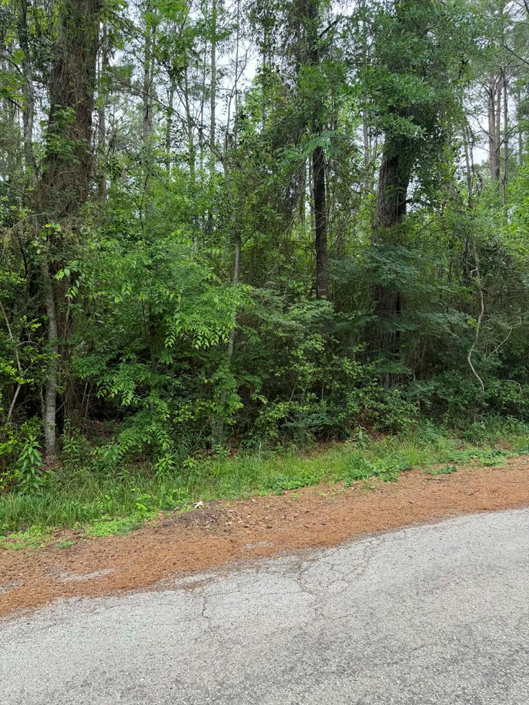 Lot 5 Old Gobblers Knob Rd
