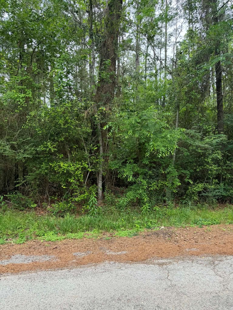 Lot 5 Old Gobblers Knob Rd