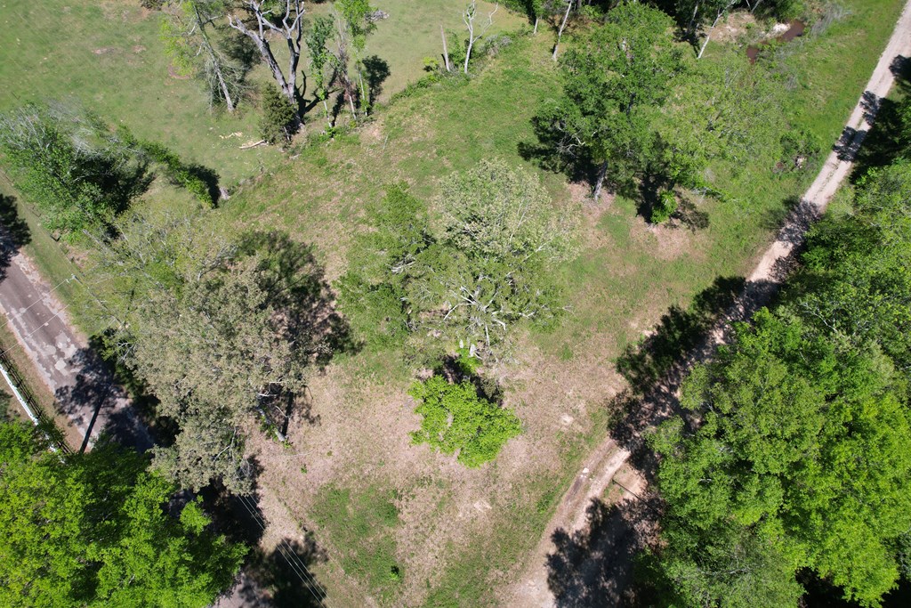 PID 160323 Ransom Brown Road