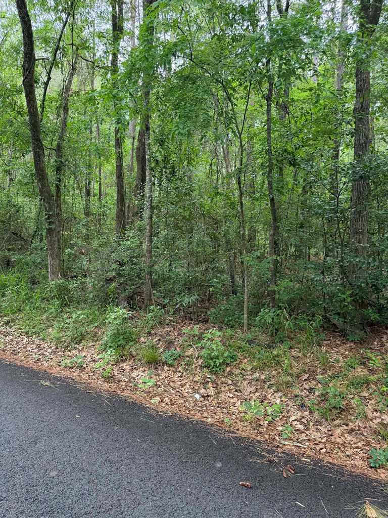 Lot 2 Old Gobblers Knob Rd
