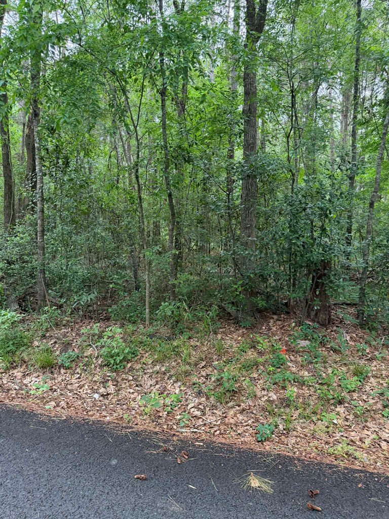 Lot 2 Old Gobblers Knob Rd