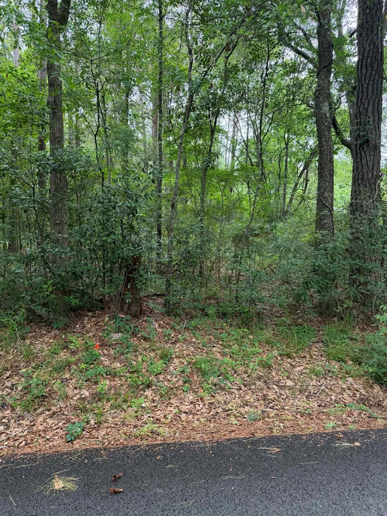 Lot 2 Old Gobblers Knob Rd