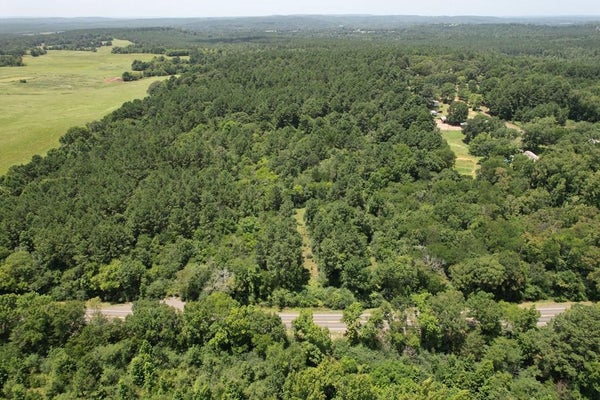 STATE HWY 21, ALTO, TX 75925 - Image 17cb7d645ce3d5e00a42ca48f3ce7954/3634053934
