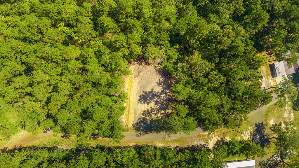 403 County Road 51